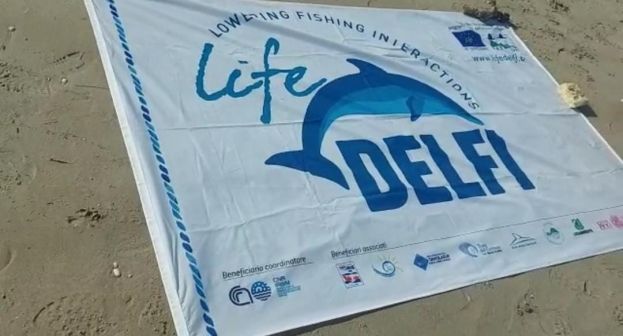 Delfi Life
