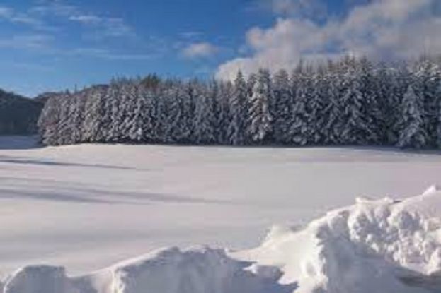 Neve