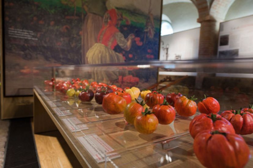E’ UFFICIALE,CARSOLI E LA PIANA DEL CAVALIERE AVRANNO IL MUSEO DEL CIBO