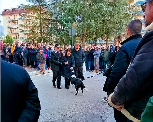 Il cane Sheela