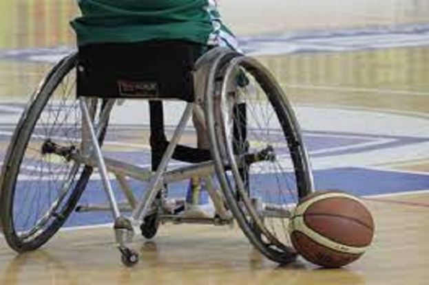 Basket in carrozzina