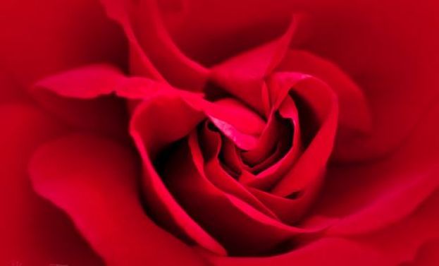 FIOCCO ROSSO