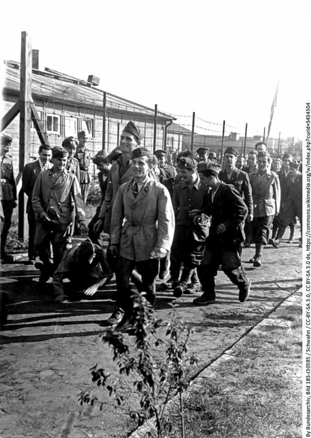 Italiani in guerra