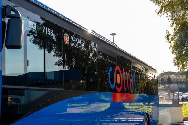 Bus Cotral