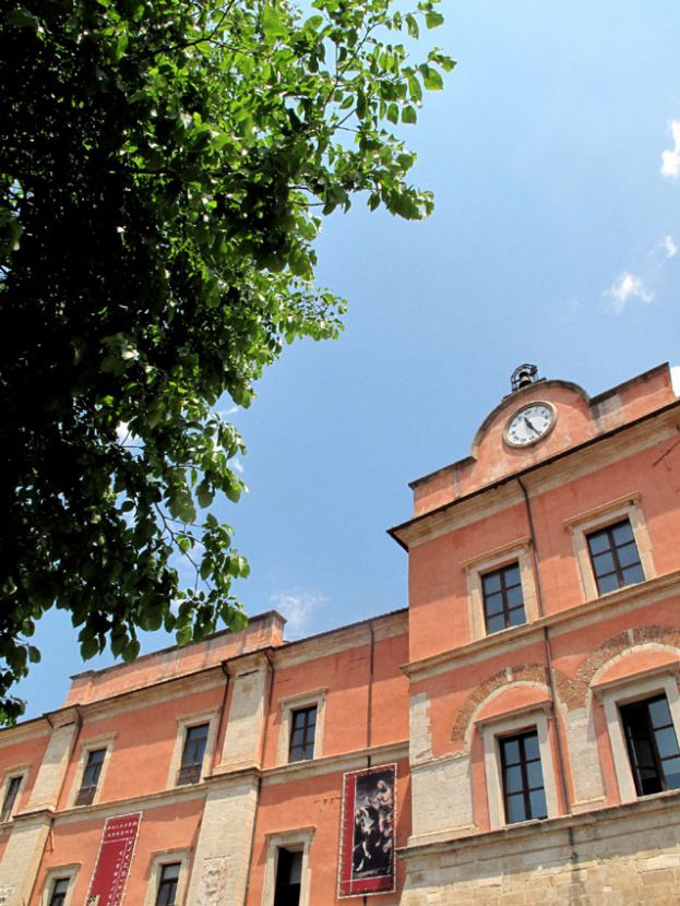 Palazzo Arnone,Polo Museale