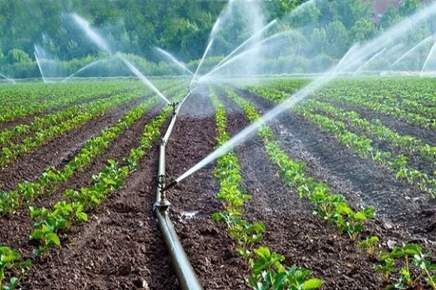 Irrigazione Campo