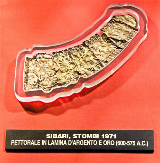Pettorale
