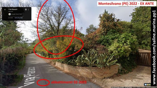 a2_MTS-v-Pianacci7_Ante1