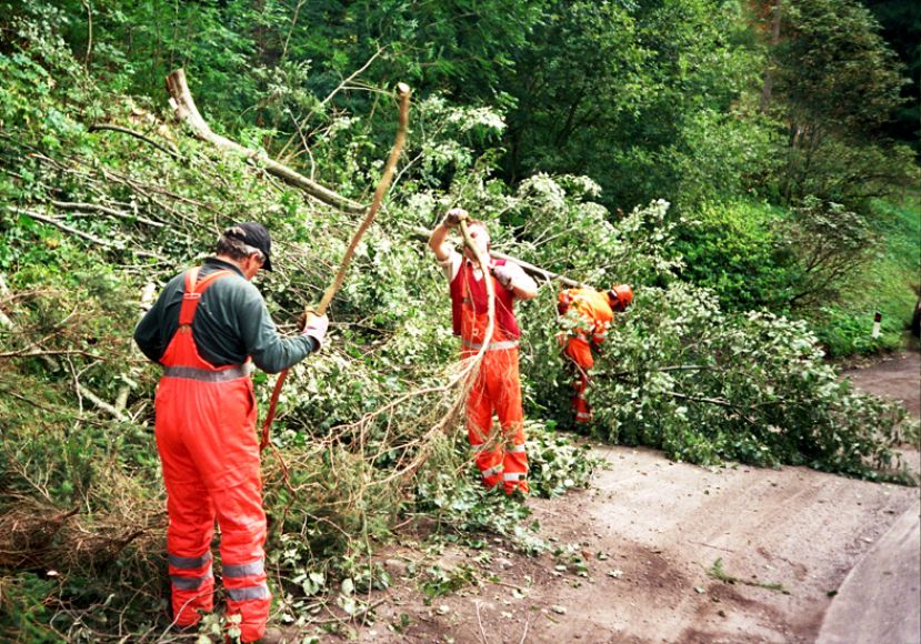 CARSOLI,MULTE E DENUNCIA ALL’AUTORITA’ GIUDIZIARIA PER CHI NON PROVVEDE AL TAGLIO DI SIEPI E ARBUSTI E RAMI