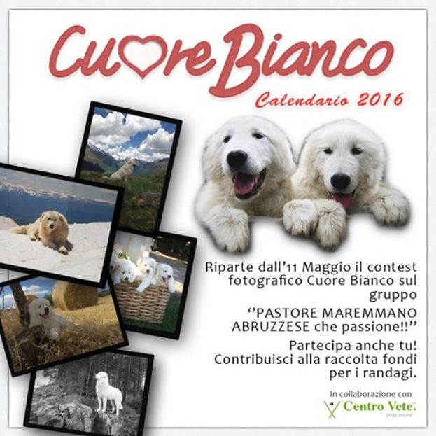 CUORE BIANCO:ANCHE NELLA PIANA DEL CAVALIERE RIPARTE IL CONTEST PER BENEFICENZA