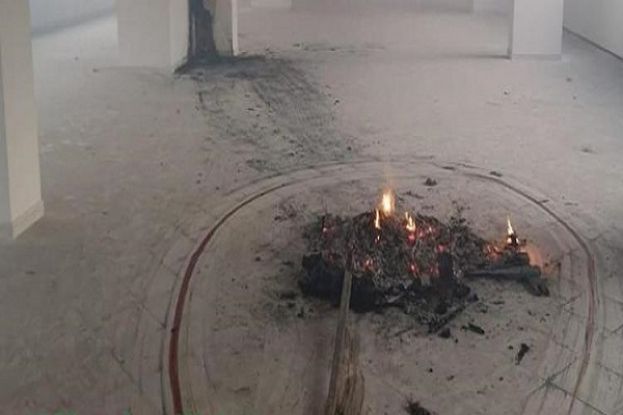 Cane bruciato e ucciso