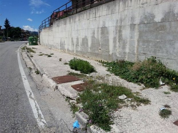 IL DEGRADO CARSOLANO