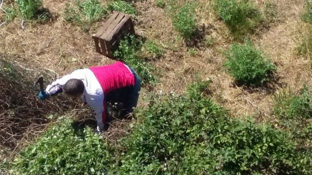 CARSOLI,CITTADINO DALL' ALTO SENSO CIVICO RIPULISCE CON UNA RONCOLA L'EX MATTATOIO DALLE STERPAGLIE