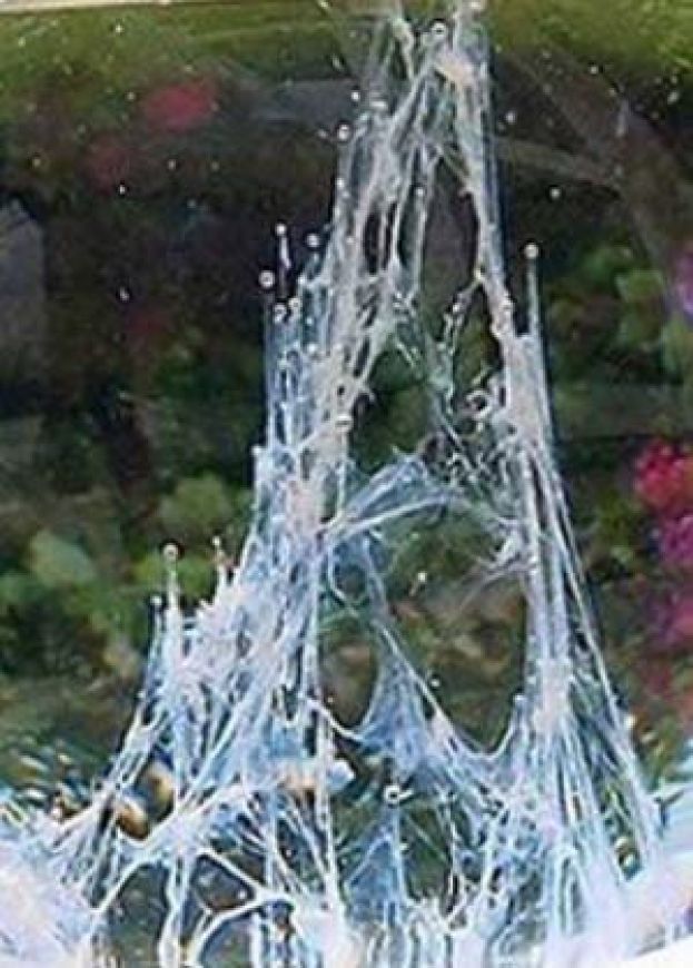 Acqua