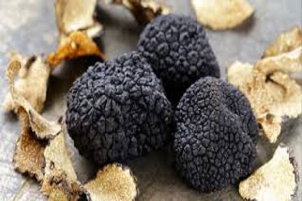 Tartufi