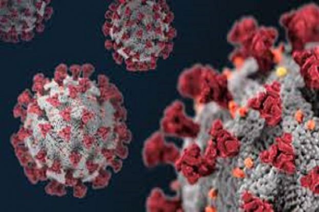 Coronavirus