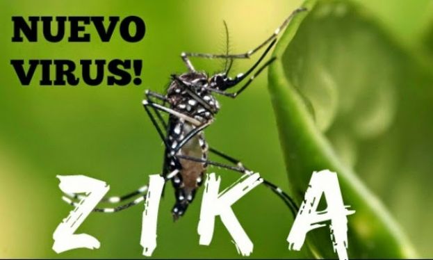 VIRUS ZIKA, NEGLI STATI UNITI IL PRIMO CASO DI CONTAGIO DOPO UN RAPPORTO SESSUALE