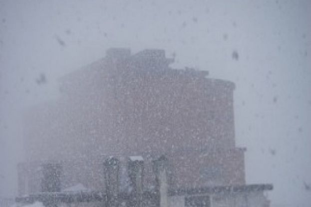 Neve
