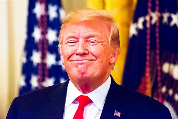 Il Presidente Usa Donald Trump