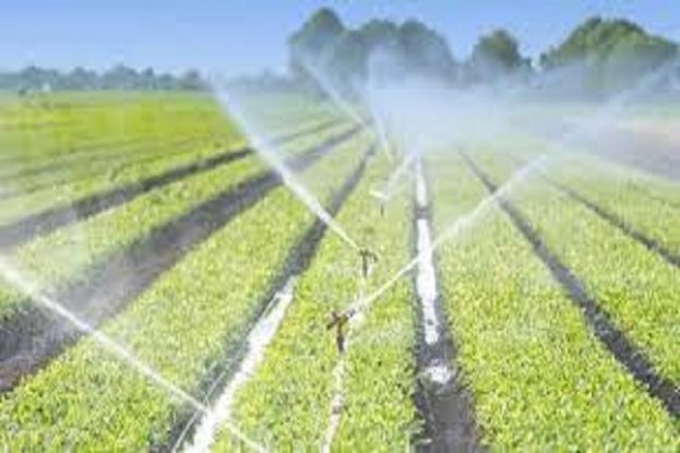 Imprese Agricole