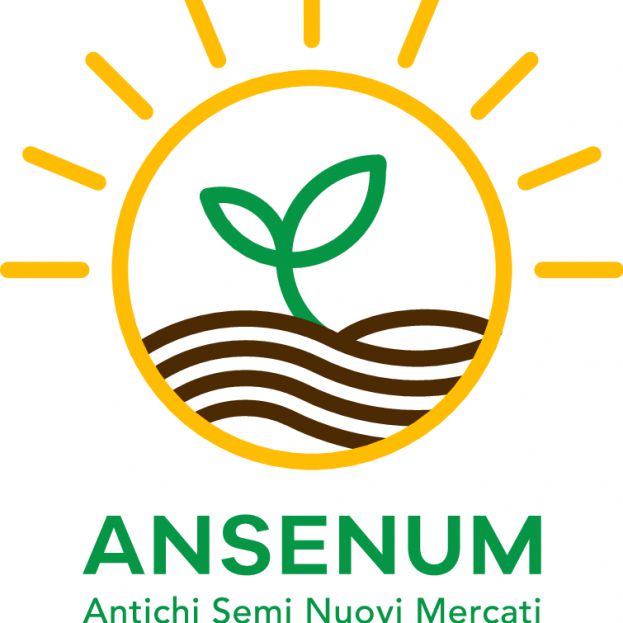 Progetto Ansenum