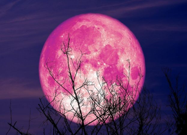 Luna Fragola