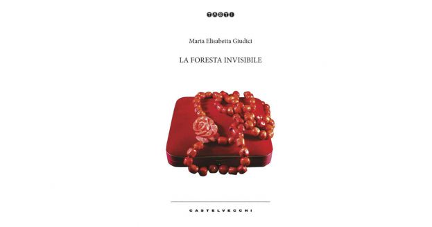 La Foresta Invisibile
