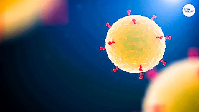 Coronavirus