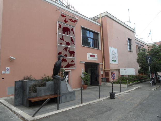 Museo Civico Zoologia
